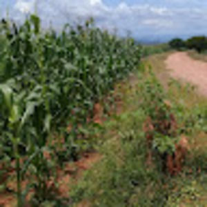 Meet your Posher, Jerry